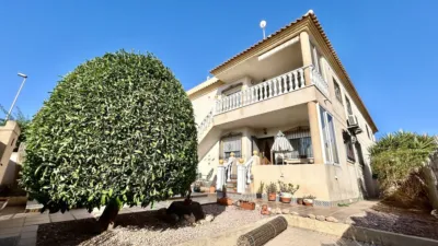 Pis – Orihuela - Vista 3