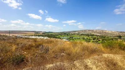 House in Algorfa photo 50