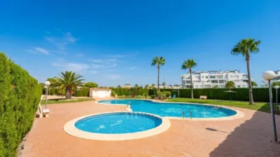 Apartment in Punta Prima-Ciñuelica-Alameda del Mar photo 20