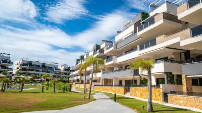 Apartment in Cabo Roig-La Zenia-La Regia photo 24