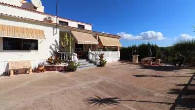 Rustic finca in Crevillent photo 3