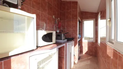 Rustic finca in Crevillent photo 38