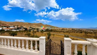 Villa in Arboleas photo 24