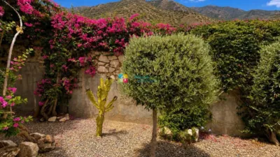 Villa in Arboleas photo 21