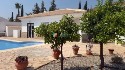 Villa in Arboleas photo 25
