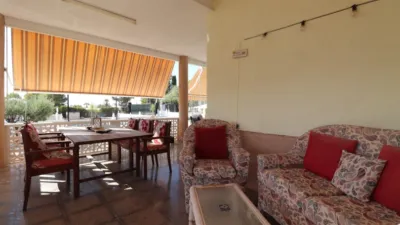 Rustic finca in Crevillent photo 6