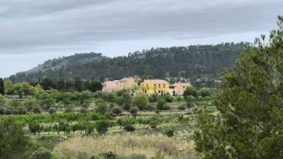 Finca rústica en Casas del Señor photo 2