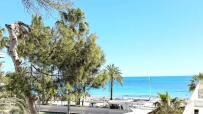 Apartment in Cala Manzanera photo 3