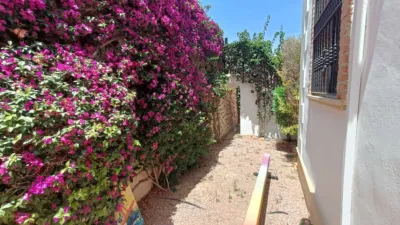House in Algorfa photo 49