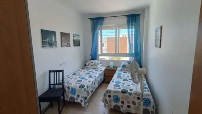 House in Algorfa photo 16