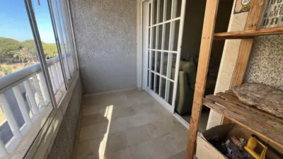 Apartment in Las Viñas photo 4