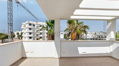 Chalet in Guardamar del Segura photo 32