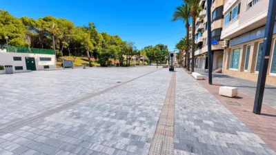 Apartment in Las Viñas photo 21