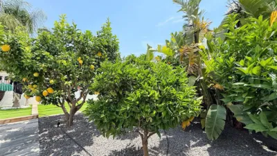 Villa in Cala Manzanera photo 22