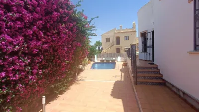House in Algorfa photo 39