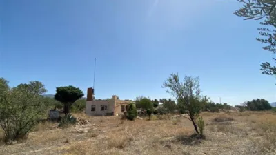 Rustic finca in Fiñana photo 31