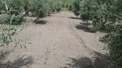 Finca rústica en La Peza photo 11