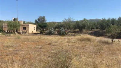 Rustic finca in Fiñana photo 34