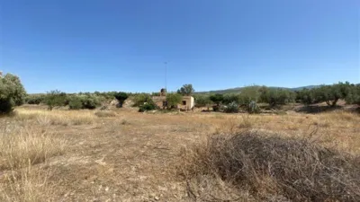 Rustic finca in Fiñana photo 13