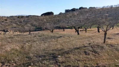 Rustic farm in Cacín photo 6