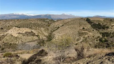 Finca rústica en Torvizcón photo 16