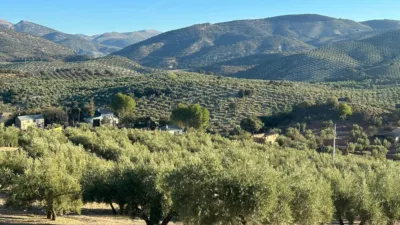 Rustic farm in Benalúa de las Villas photo 3