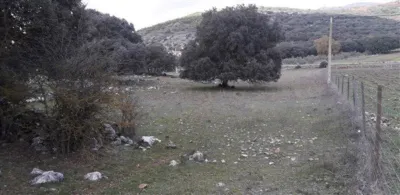 House in Zafarraya photo 7
