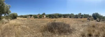 Rustic finca in Fiñana photo 12