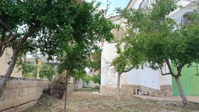 House in Cortes de Baza photo 15