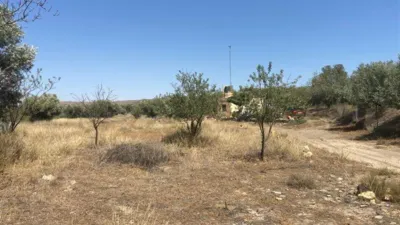 Rustic finca in Fiñana photo 35