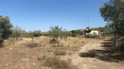 Rustic finca in Fiñana photo 5