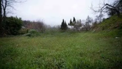 Rustic Finca in Mecina Bombarón photo 15