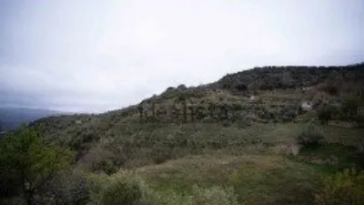 Rustic Finca in Mecina Bombarón photo 17