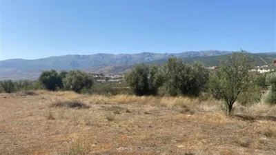 Rustic finca in Fiñana photo 21