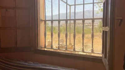 Rustic finca in Fiñana photo 28