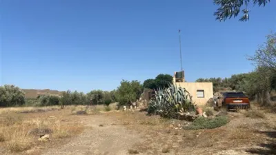 Rustic finca in Fiñana photo 14