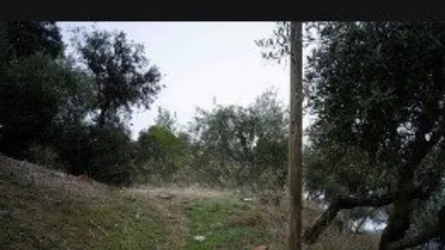 Rustic Finca in Mecina Bombarón photo 18