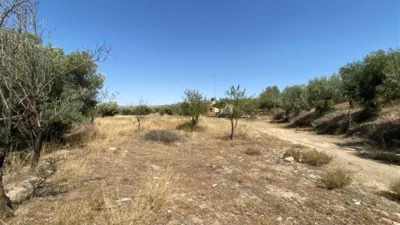 Rustic finca in Fiñana photo 36