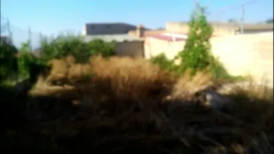 House in Cortes de Baza photo 11
