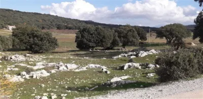 House in Zafarraya photo 8