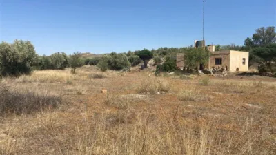 Rustic finca in Fiñana photo 6