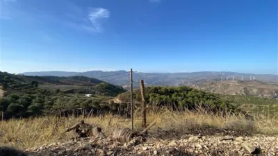Rustic finca in Mondújar photo 7