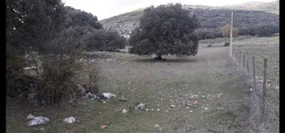House in Zafarraya photo 26