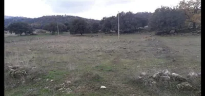 House in Zafarraya photo 23