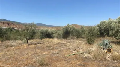 Rustic finca in Fiñana photo 16