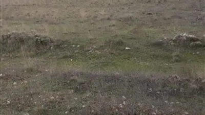 House in Zafarraya photo 9