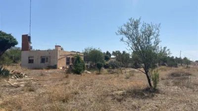Rustic finca in Fiñana photo 32