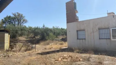 Rustic finca in Fiñana photo 10
