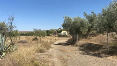 Rustic finca in Fiñana photo 15