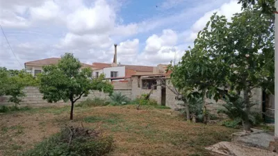 House in Cortes de Baza photo 11